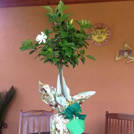 Bed & Breakfast Re Sole